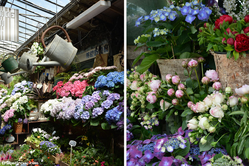 Paris Paris Tipps Markt Marche aux fleurs Blumen-Markt